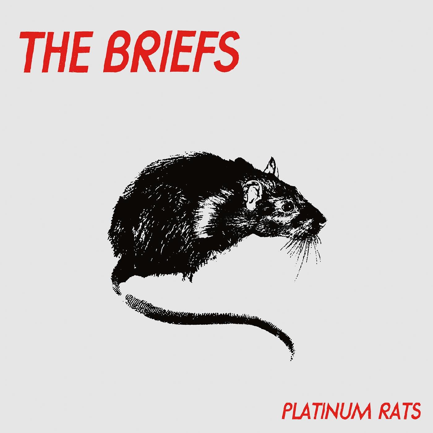 The Briefs - Platinum Rats - CD